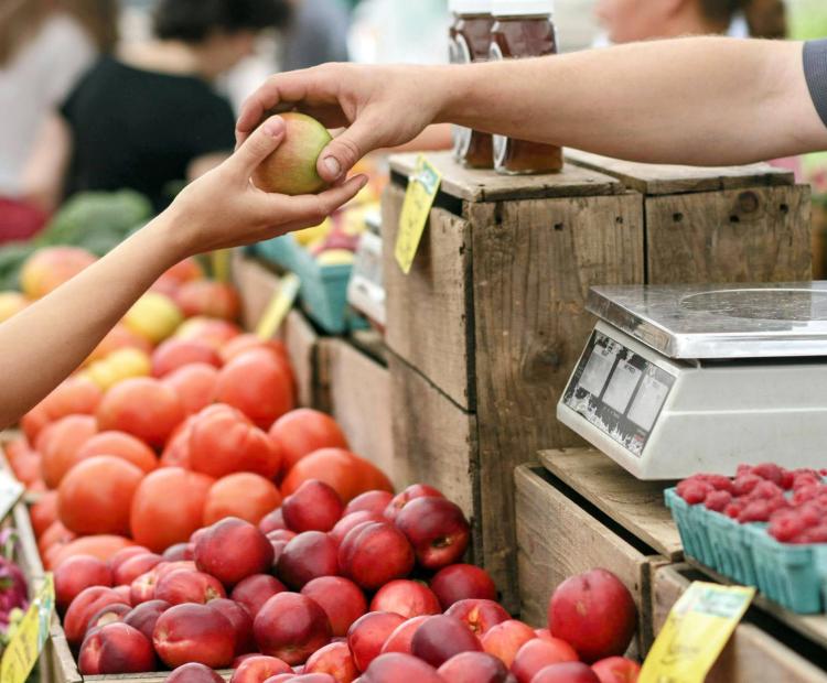 Gastrotour, Große Markthalle